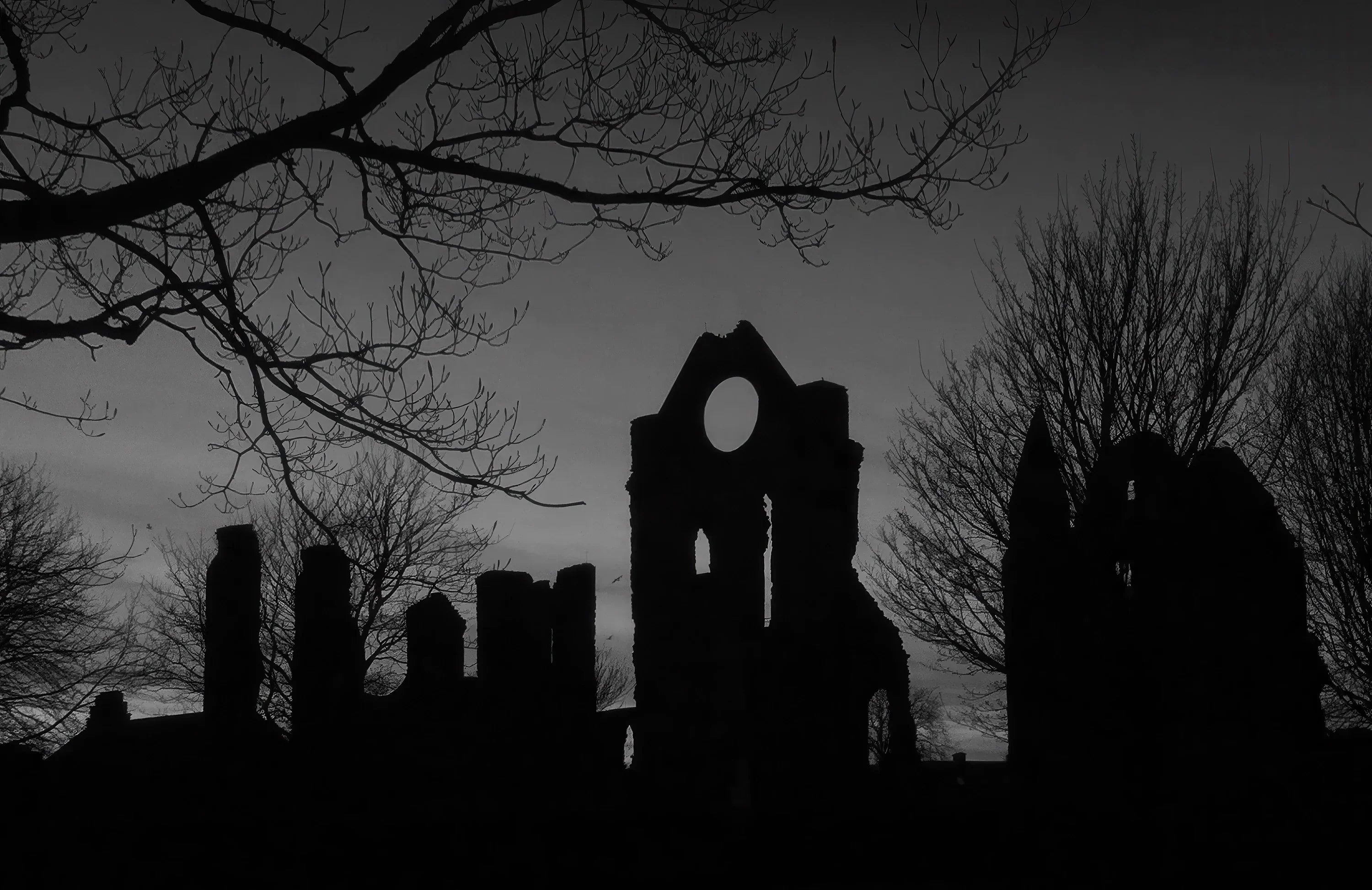 Arbroath Abbey Monochromative view