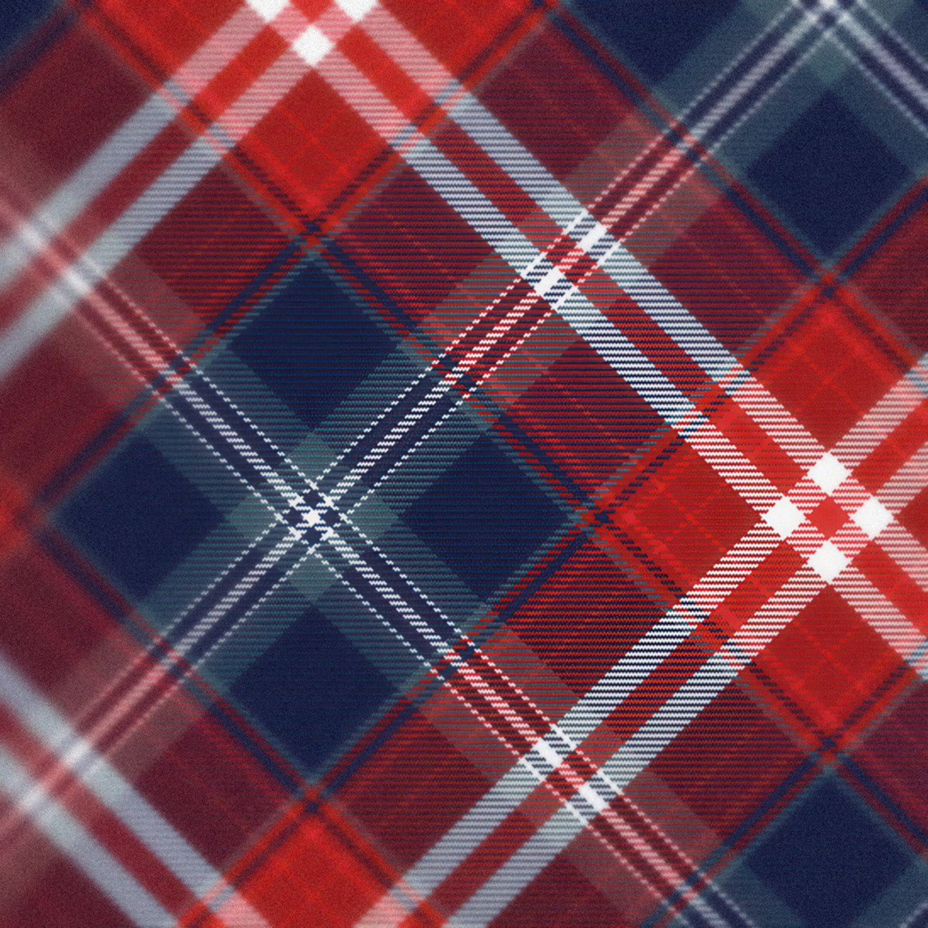 The Star-Spangled Banner Tartan250 commemorative limited edition fine art tartan print, detail view.