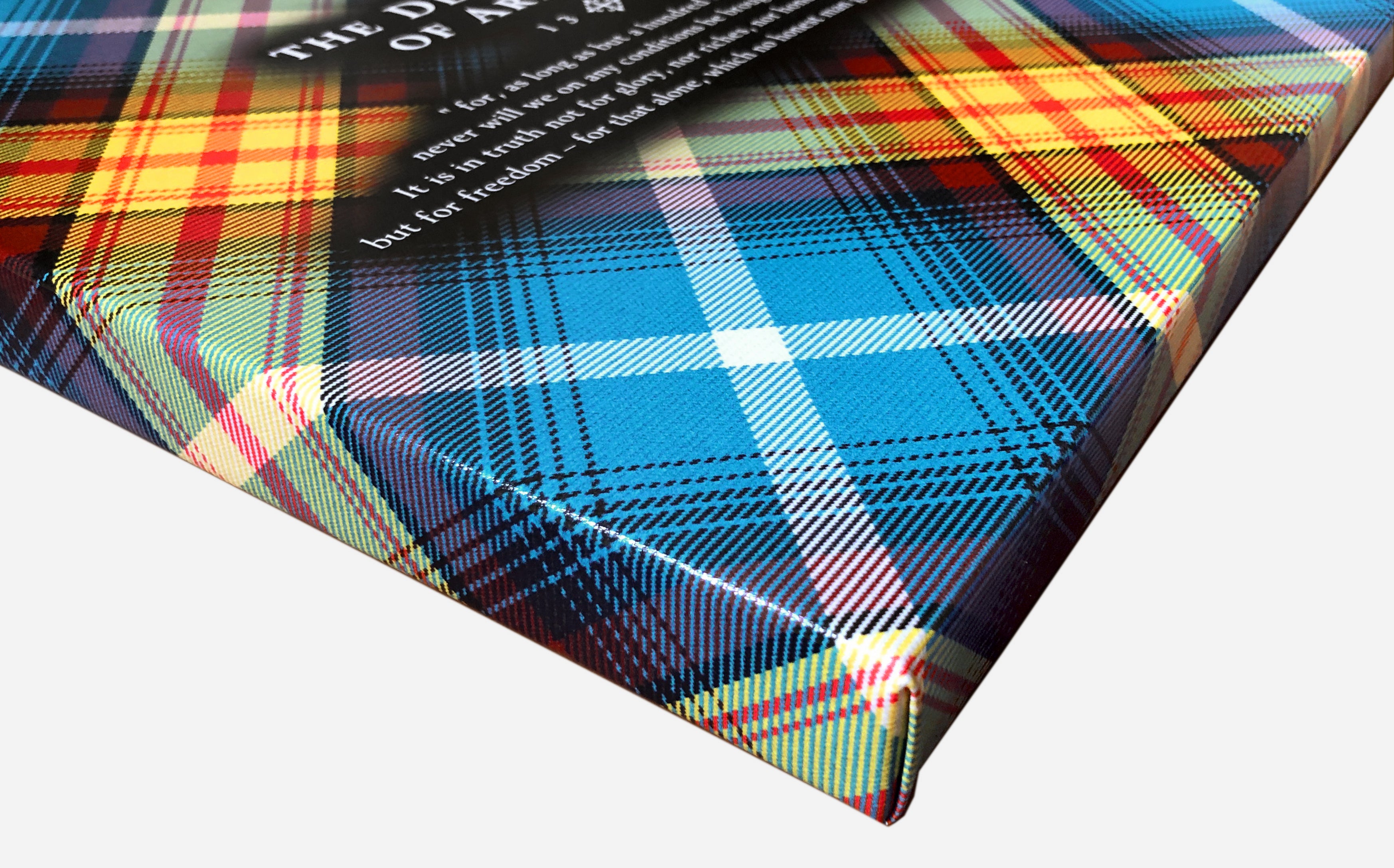 Lion Rampant - Declaration Tartan 16" Stretched Canvas