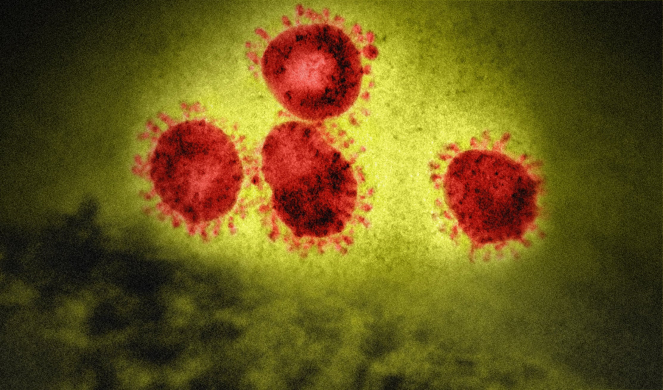 Why I created the Virohazard tartan