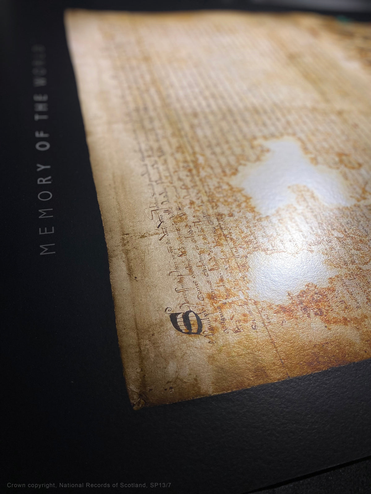 Black Onyx Burnished Gold fine-art photograph showing memory of the world portrait perspective.