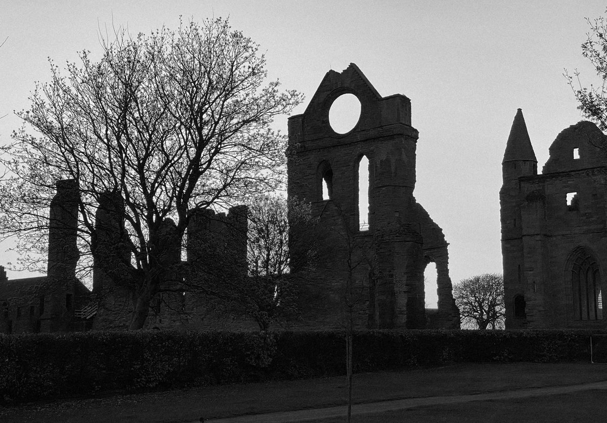 Monochrome photograph of the west front of Arbroath Abbey, framed by bare-branched trees and viewed from the roadside.