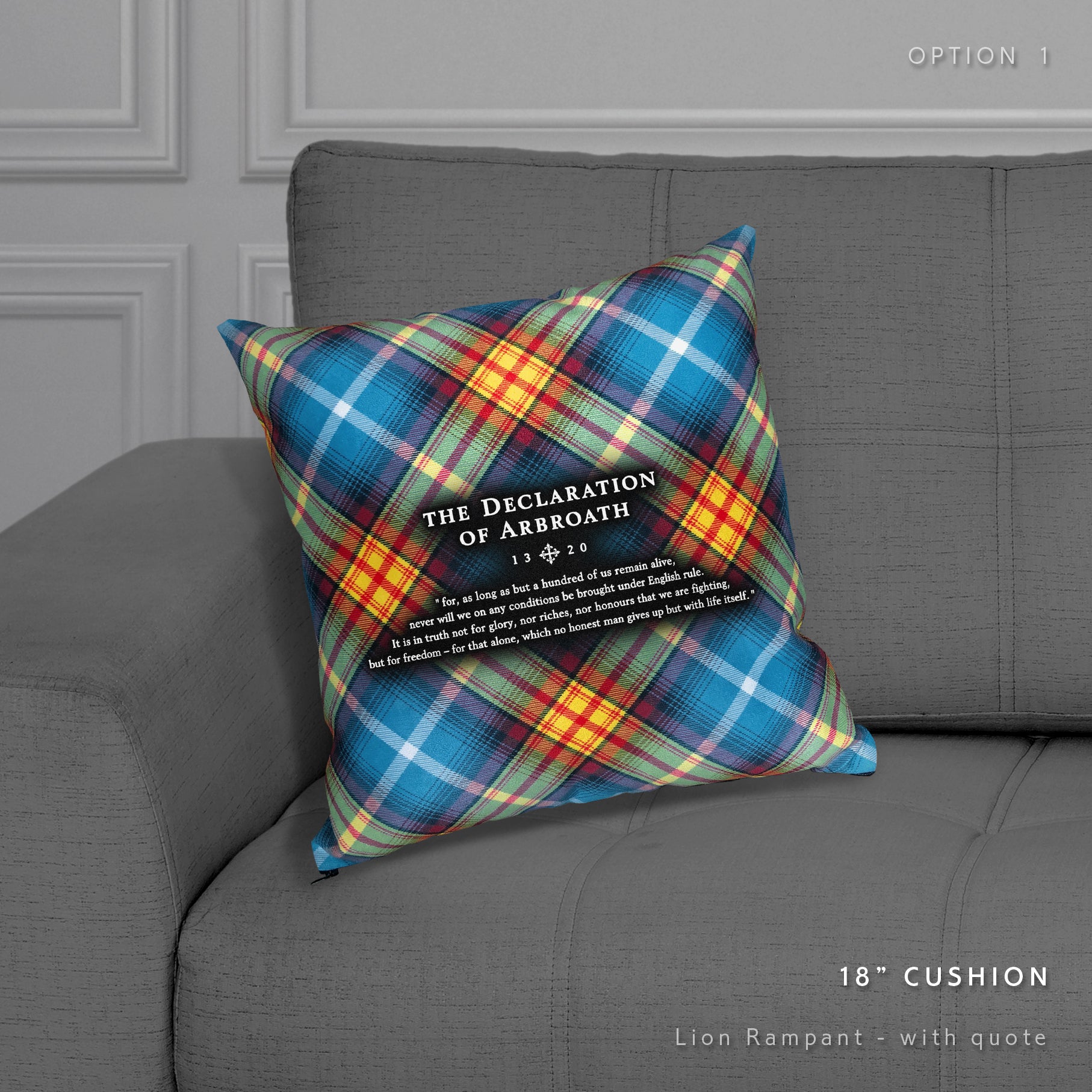 Steven Patrick Sim's Declaration tartan cushion